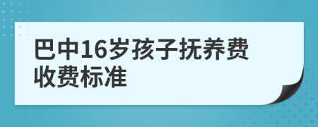 巴中16岁孩子抚养费收费标准