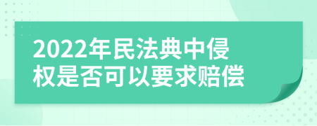 2022年民法典中侵权是否可以要求赔偿