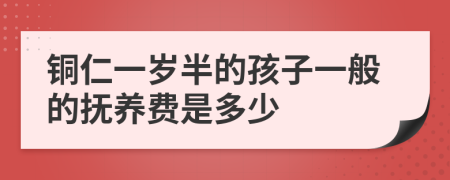 铜仁一岁半的孩子一般的抚养费是多少
