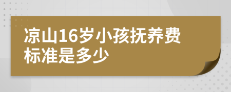 凉山16岁小孩抚养费标准是多少