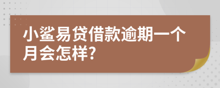 小鲨易贷借款逾期一个月会怎样?