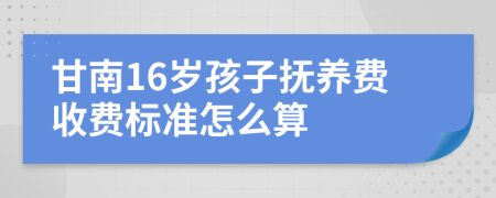 甘南16岁孩子抚养费收费标准怎么算