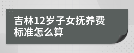 吉林12岁子女抚养费标准怎么算