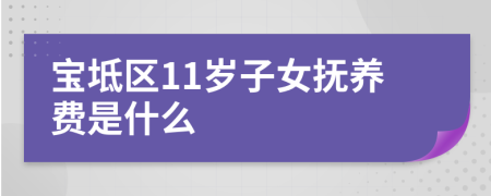 宝坻区11岁子女抚养费是什么