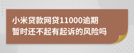 小米贷款网贷11000逾期暂时还不起有起诉的风险吗