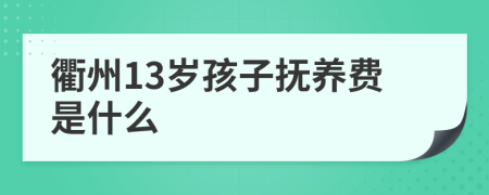 衢州13岁孩子抚养费是什么