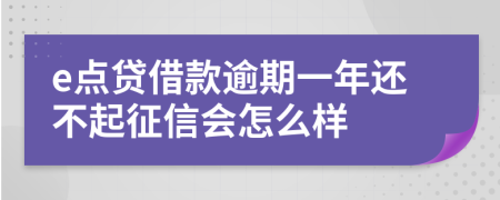 e点贷借款逾期一年还不起征信会怎么样