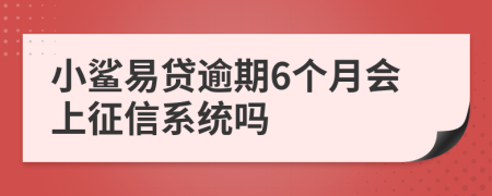 小鲨易贷逾期6个月会上征信系统吗