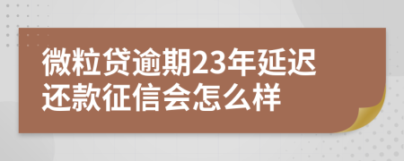 微粒贷逾期23年延迟还款征信会怎么样