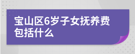 宝山区6岁子女抚养费包括什么