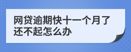 网贷逾期快十一个月了还不起怎么办