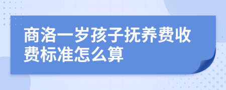 商洛一岁孩子抚养费收费标准怎么算