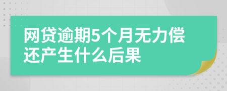 网贷逾期5个月无力偿还产生什么后果