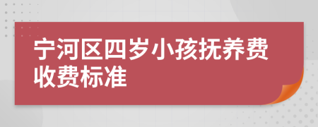 宁河区四岁小孩抚养费收费标准