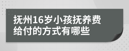 抚州16岁小孩抚养费给付的方式有哪些