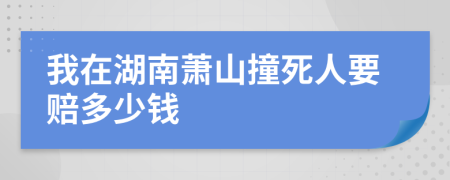 我在湖南萧山撞死人要赔多少钱