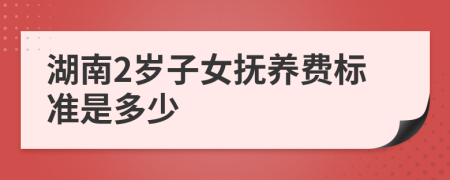 湖南2岁子女抚养费标准是多少