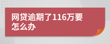 网贷逾期了116万要怎么办