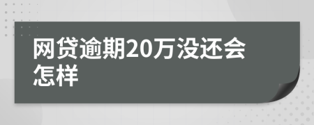 网贷逾期20万没还会怎样