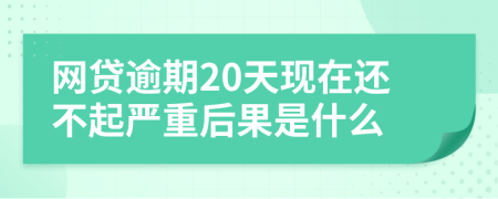 网贷逾期20天现在还不起严重后果是什么