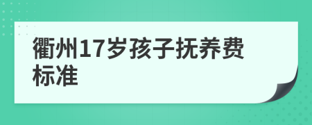 衢州17岁孩子抚养费标准