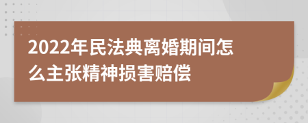 2022年民法典离婚期间怎么主张精神损害赔偿