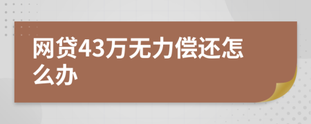 网贷43万无力偿还怎么办