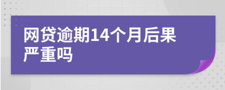 网贷逾期14个月后果严重吗
