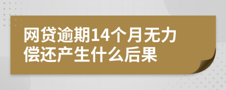 网贷逾期14个月无力偿还产生什么后果