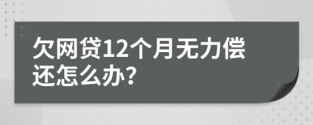 欠网贷12个月无力偿还怎么办？