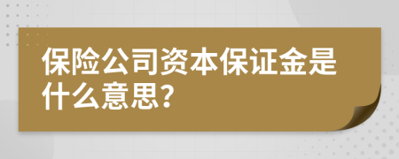 保险公司资本保证金是什么意思？