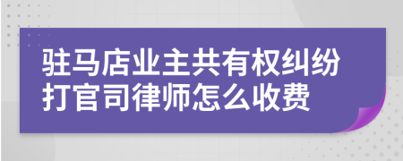 驻马店业主共有权纠纷打官司律师怎么收费