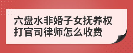 六盘水非婚子女抚养权打官司律师怎么收费