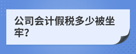 公司会计假税多少被坐牢？