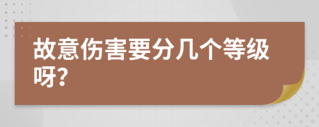 故意伤害要分几个等级呀？