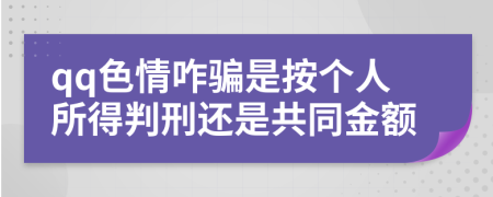 qq色情咋骗是按个人所得判刑还是共同金额