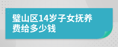 璧山区14岁子女抚养费给多少钱