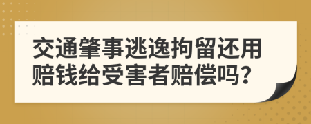 交通肇事逃逸拘留还用赔钱给受害者赔偿吗？