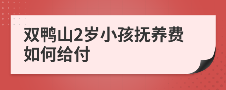 双鸭山2岁小孩抚养费如何给付