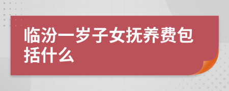 临汾一岁子女抚养费包括什么
