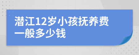 潜江12岁小孩抚养费一般多少钱