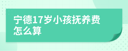 宁德17岁小孩抚养费怎么算