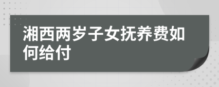 湘西两岁子女抚养费如何给付