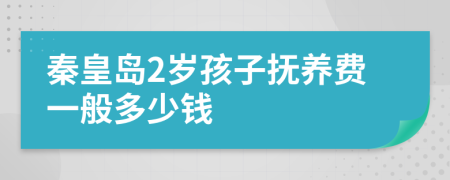 秦皇岛2岁孩子抚养费一般多少钱