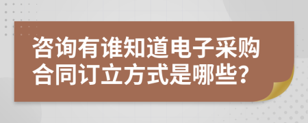 咨询有谁知道电子采购合同订立方式是哪些？