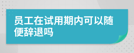 员工在试用期内可以随便辞退吗