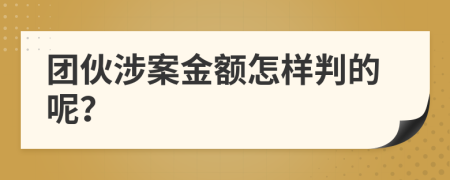 团伙涉案金额怎样判的呢？