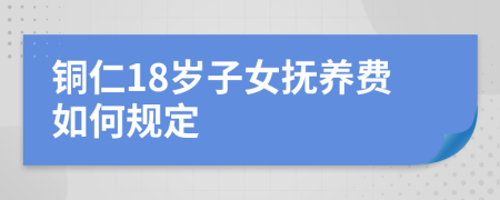 铜仁18岁子女抚养费如何规定