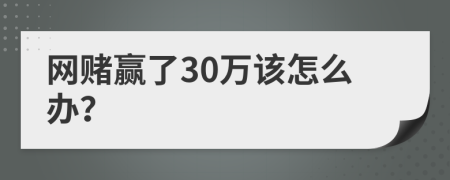 网赌赢了30万该怎么办？