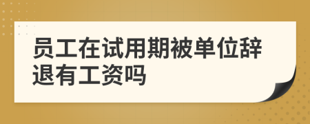 员工在试用期被单位辞退有工资吗